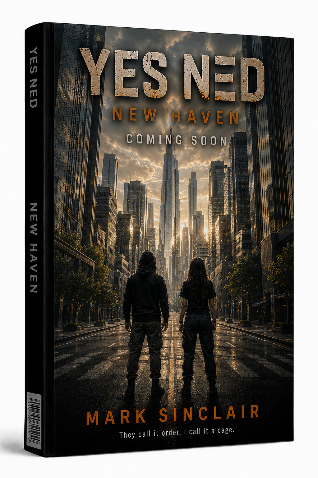 YES NED: New Haven book cover